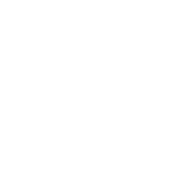 Micro Skull